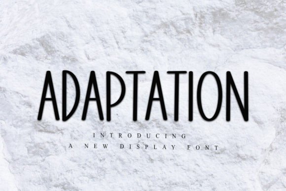 Adaptation: A Display Font for Elegant Creative Projects